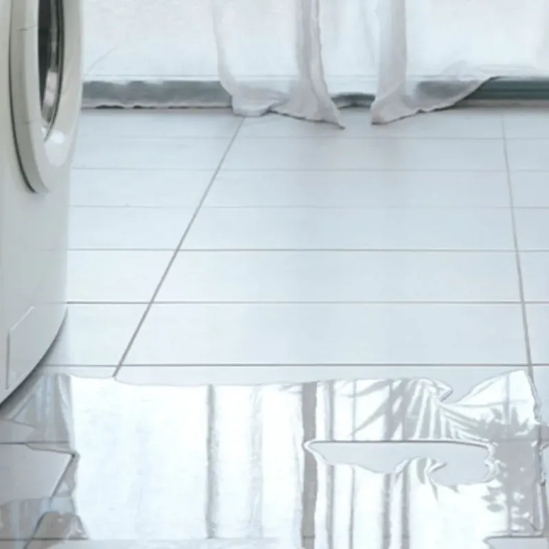Appliance Leak Cleanup in Marshfield, WI