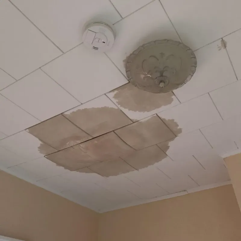 Ceiling Water Damage Repair in Marshfield, WI