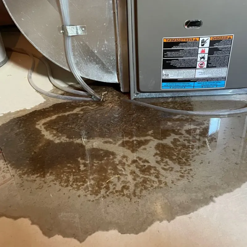 Pipe Burst and Leak Restoration in Marshfield, WI